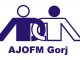 Locuri de muncă disponibile prin AJOFM Gorj – 17 ianuarie 2017