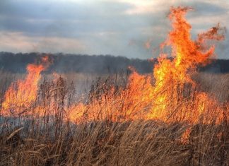 Seria incendiilor de vegetație uscată continuă în județul Mehedinți!