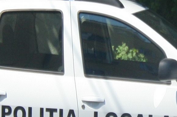 Poliția Locală la datorie în Slatina