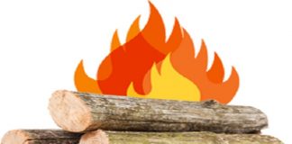 Cristian Buican: În plină criză a lemnului de foc, PSD măreşte preţul unui metru cub de masă lemnoasă
