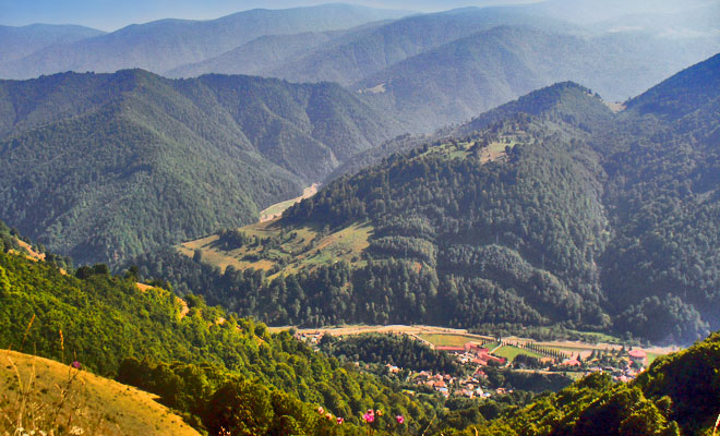 Agentia Zonelor Montane - Centrul Regional