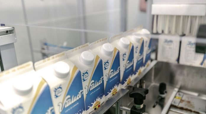 VITALACT: Investiţie românească de 3,5 milioane de Euro