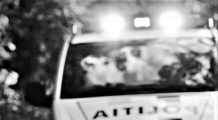 Vâlcea: Percheziție în comuna Ionești, la domiciliul a doi bărbați bănuiți de braconaj cinegetic
