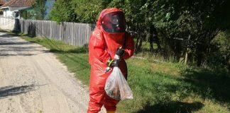 În această vară, pompierii mehedinţeni au acţionat la 36 de intervenţii pentru îndepărtarea gărgăunilor