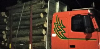 Olt: Societăți comerciale sancționate de polițiști pentru încălcarea prevederilor legislației silvice