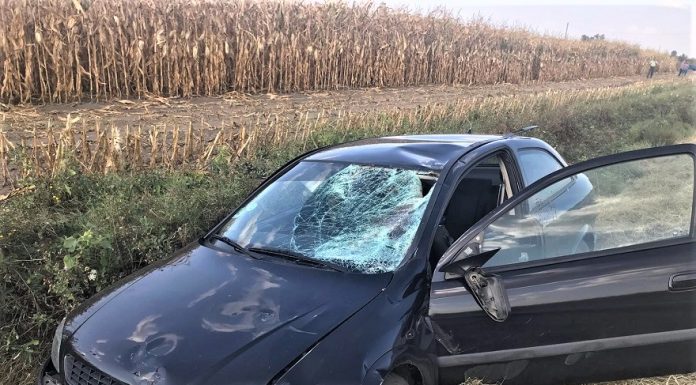 Dolj: Biciclist accidentat mortal în Pielești