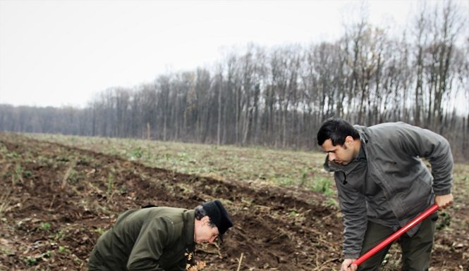 ROMSILVA a demarat a doua campanie de împăduriri din 2018