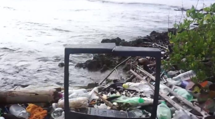 Parlamentul European este hotărât să reducă dependența noastră faţă de materialele plastice – VIDEO