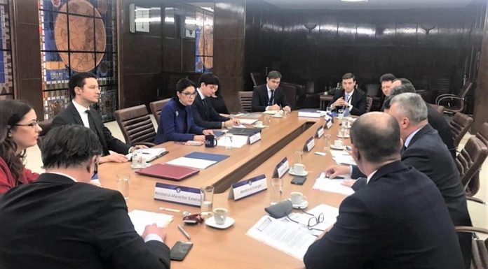 Viceprim-ministrul Ana Birchall a coordonat prima reuniune a Grupului de lucru pentru implementarea proiectelor aprobate la Summit-ul Inițiativei celor Trei Mări (I3M)