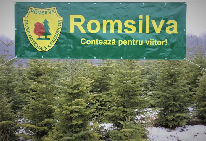 ROMSILVA_POMI_CRACIUN
