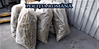 4 tone de droguri confiscate, distruse de Poliția Română – VIDEO