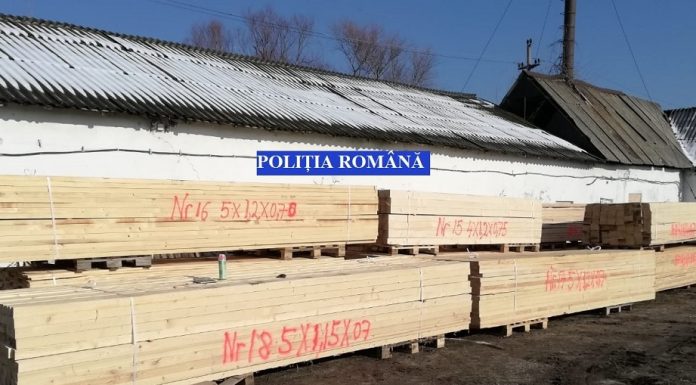 Olt: Polițiștii au dispus confiscarea a peste 54 metri cubi de material lemnos, în valoare de aproximativ 36.100 de lei