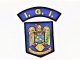 Evaluarea activităţii poliţiştilor de imigrări din Dolj, în anul 2019