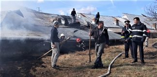 Vâlcea: Incendiu în Băile Govora, la o microfermă de păsări din Gătejești – aproximativ 2500 de pui au pierit în flăcări