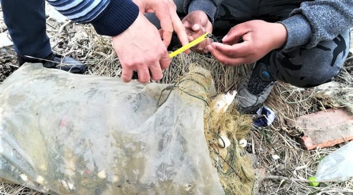 Olt: Acţiuni pentru combaterea braconajului piscicol în zona barajului Strejesti – Drăgăşani