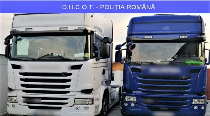 46 de percheziții în Olt, Argeș, Dâmbovița și Ilfov – este vizat un grup specializat în fraudă informatică
