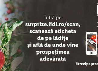 Află de unde provin fructele și legumele din Lidl prin noua platformă #trecipeproaspăt