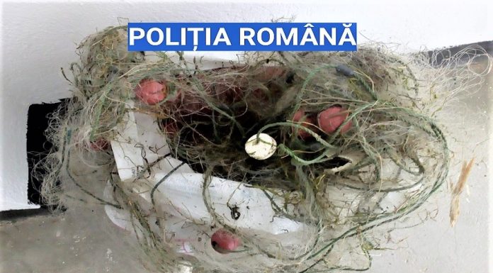 Olt: Acțiuni pentru prevenirea și combaterea braconajului piscicol, desfășurate la Slătioara și Verguleasa