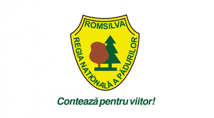 Romsilva: Precizări privind pădurea de la Drăgoieni din județul Gorj