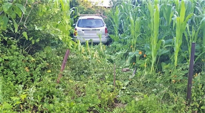 Vâlcea: La volan fără permis de conducere, a dărâmat un gard și a ajuns în grădina unei case din Șușani