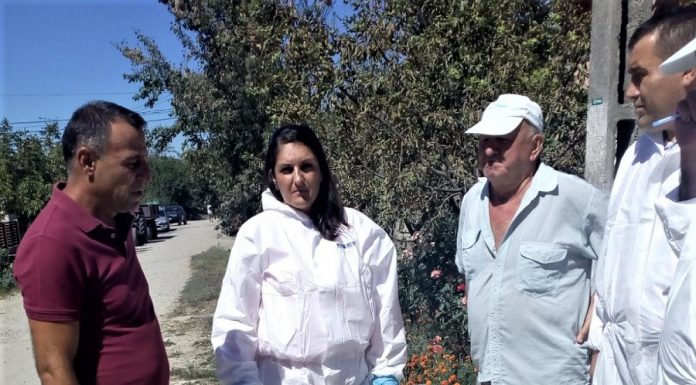 Prefectul de Olt, Angela Nicolae, a efectuat o acțiune de verificare în localități afectate de pesta porcină africană