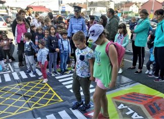 Campania națională „Verde la educație pentru circulație” derulată la Drobeta Turnu Severin