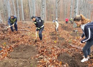 Pompierii din cadrul ISU Mehedinţi alături de elevi de la Liceul Teoretic Şerban Cioculescu într-o acţiune de împădurire