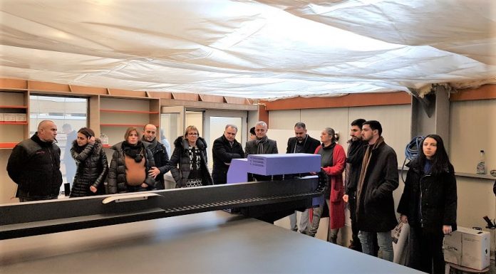 Danube Furniture Cluster “Se poate inova împreună”