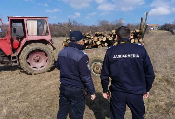 Mehedinți - Prins la furat de lemne, într-o pădure din Șimian