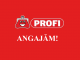 PROFI ajută prin angajări