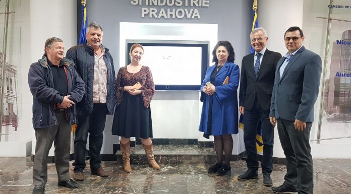 WALLACHIA EHUB – parteneriat strategic pentru transformare digitală în regiunea SUD MUNTENIA