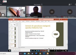 Consorțiul Wallachia Hub contribuie cu proiecte de specializare inteligentă la scară națională și internațională pentru regiunea Sud-Muntenia