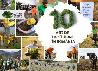 Plantăm fapte bune în România – număram puieții plantați cu gândul la voluntarii care ne susțin de la distanță