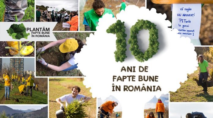 Plantăm fapte bune în România – număram puieții plantați cu gândul la voluntarii care ne susțin de la distanță