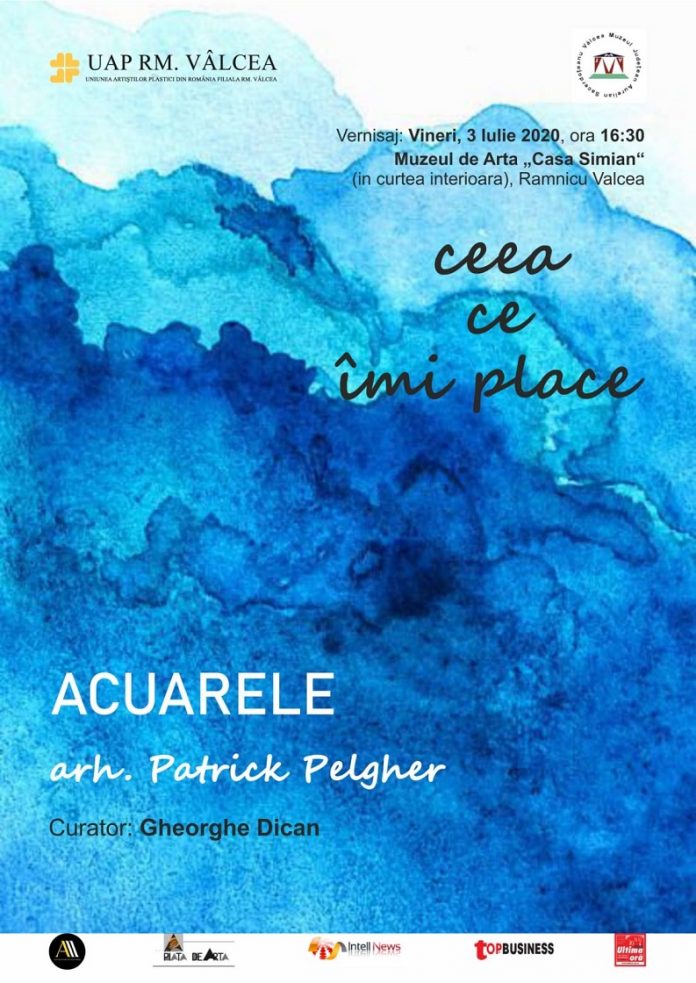 CEEA CE IMI PLACE - expozitie - Patrick Pelgher - Casa Simian - Ramnicu Valcea