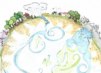 IFOAM EU analizează evoluțiile majore la nivel european privind impactul pandemiei COVID-19 asupra sectorului organic