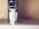 Factura la întreţinere e piperată? Iată ce probleme ale instalaţiei sanitare duc la un consum ridicat de apă!