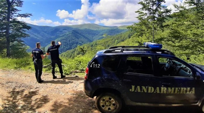 Jandarmii montani din Runcu au sancţionat contravenţional două persoane pe pajiştea alpină