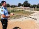 Mehedinți: Jandarmii au scos un șarpe de sub capota unui autoturism oprit în satul Cerneți