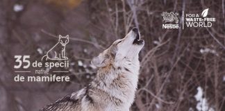 Nestlé România lansează primul studiu de biodiversitate pentru Parcul Național Cozia