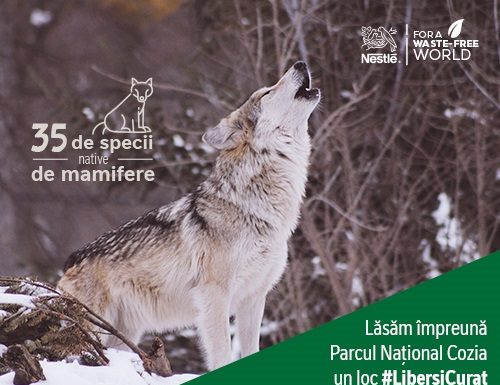 Nestlé România lansează primul studiu de biodiversitate pentru Parcul Național Cozia