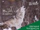 Nestlé România lansează primul studiu de biodiversitate pentru Parcul Național Cozia