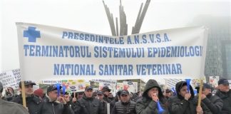 Medicii veterinari își încetează activitatea în formă de protest față de Direcțiile Sanitar Veterinare