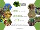 În 2020 am plantat jumătate de milion de puieți – povestea merge mai departe