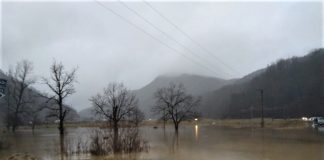 COD PORTOCALIU HIDRO pe râul Olt în aval și amonte