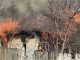 Olt: Casă din Bobicești mistuită de incendiu – imobilizat la pat, proprietarul și-a pierdut viața Casa din Bobicesti mistuita de incendiu