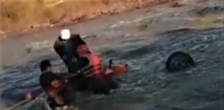 Mehedinti Barbat salvat din raul Topolnita