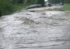 Cod ROȘU hidrologic pe afluenții râului Olt - VIDEO