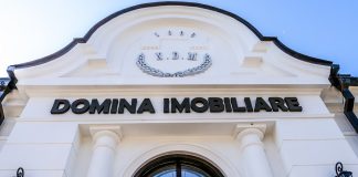 Domina Imobiliare Oltenia