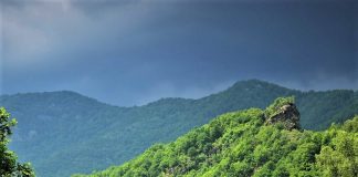 Ziua Europeană a Parcurilor marcată în parcurile naționale și naturale administrate de Romsilva